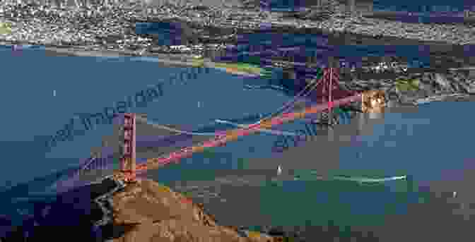 A Flock Of Birds Flying Over The Golden Gate Bridge Birding At The Bridge: In Search Of Every Bird On The Brooklyn Waterfront