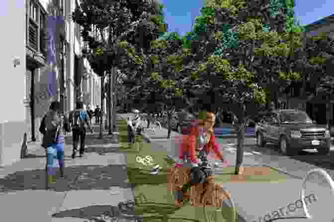 Bicycle Lane And Pedestrian Pathway In A Sustainable City Designing The City: Towards A More Sustainable Urban Form