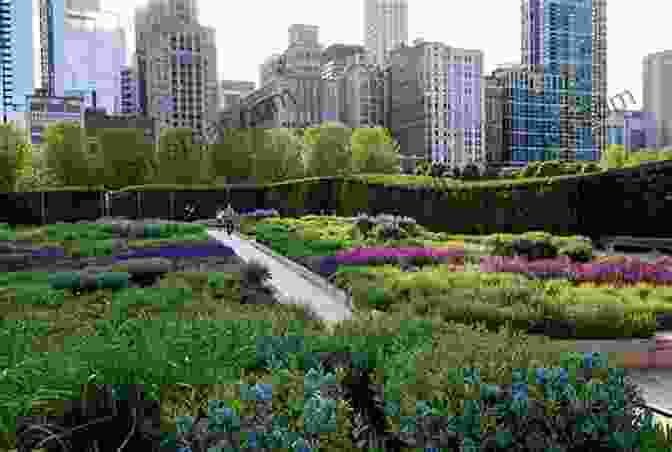 Chicago Lurie Garden Gardening With Perennials: Lessons From Chicago S Lurie Garden