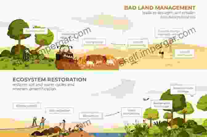 Fire Transforms Vegetation Communities, Revealing The Resilience And Adaptability Of Rocky Mountain Ecosystems. Fire Ecology In Rocky Mountain Landscapes