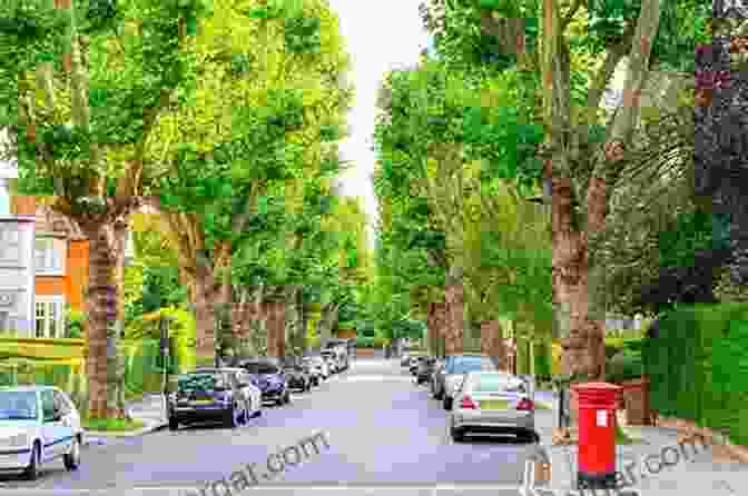 Green Spaces And Tree Lined Streets In A Compact City Designing The City: Towards A More Sustainable Urban Form