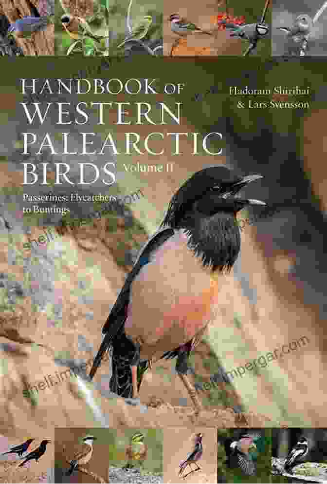 Handbook Of Western Palearctic Birds Volume I: Non Passerines Handbook Of Western Palearctic Birds Volume 1: Passerines: Larks To Warblers