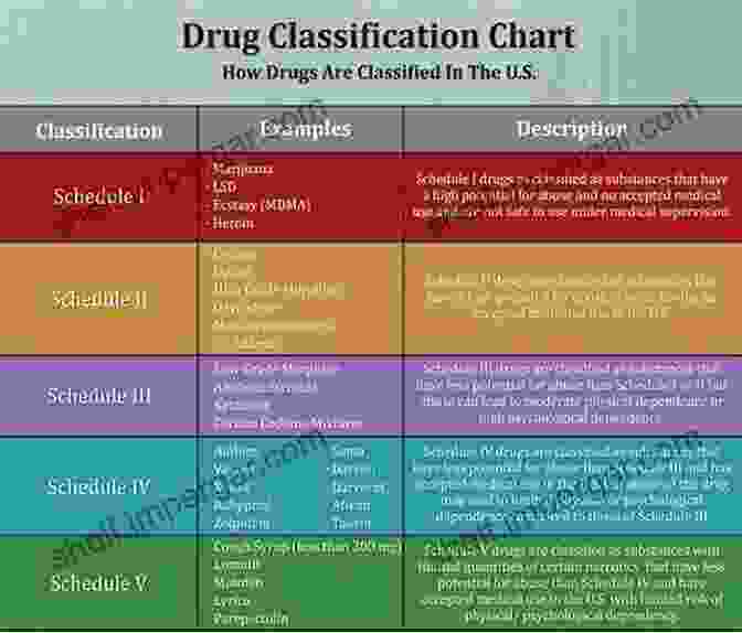 Infographic: Drug Classifications And Interactions Complete Guide To Prescription Nonprescription Drugs 2024