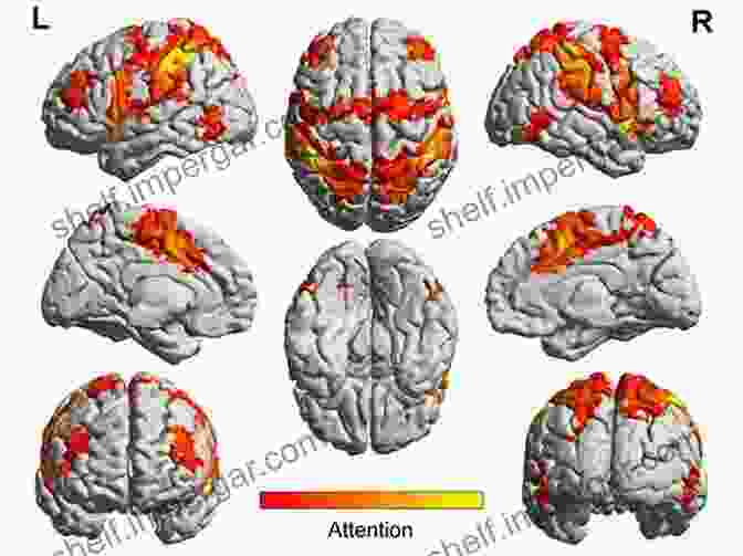 Neuroimaging Studies Reveal Specific Brain Regions Involved In Music Processing, Providing Insights Into The Cognitive Foundations Of Musicality. The Origins Of Musicality Henkjan Honing