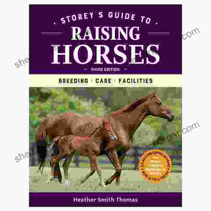 Storey Guide To Raising Horses, 3rd Edition Book Cover Storey S Guide To Raising Horses 3rd Edition: Breeding Care Facilities (Storey S Guide To Raising)