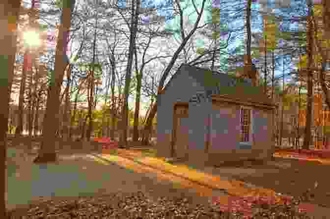 Thoreau's Rustic Cabin At Walden Pond, A Humble Abode Where He Immersed Himself In Nature's Wisdom. Walden: Or Life In The Woods