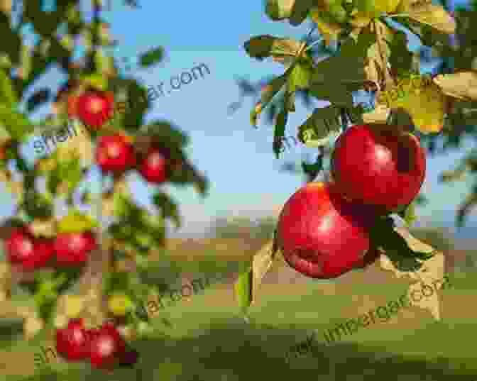 Wild Apple Trees In Central Asia Horticultural Reviews Volume 29: Wild Apple And Fruit Trees Of Central Asia