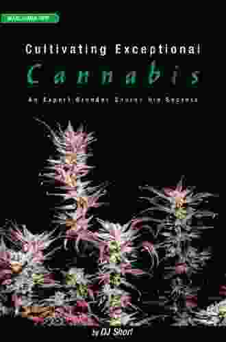 Cultivating Exceptional Cannabis: An Expert Breeder Shares His Secrets (Marijuana Tips Series)