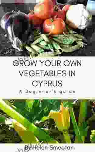 Grow Your Own Vegetables In Cyprus: A Beginner S Guide