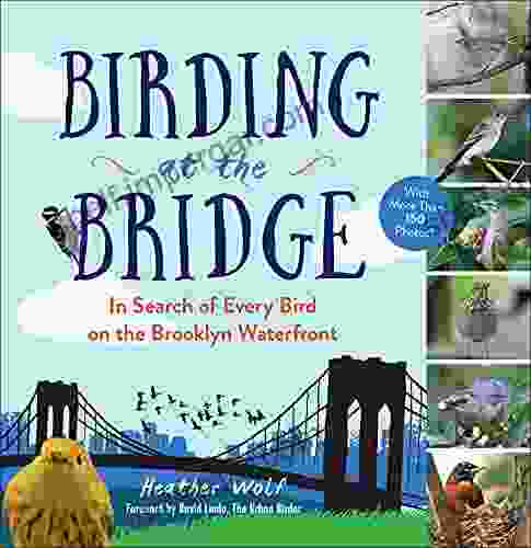 Birding At The Bridge: In Search Of Every Bird On The Brooklyn Waterfront