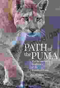 Path of the Puma: The Remarkable Resilience of the Mountain Lion