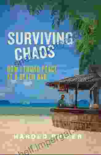 Surviving Chaos: How I Found Peace At A Beach Bar