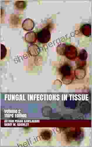 Fungal Infections In Tissue: Volume 2