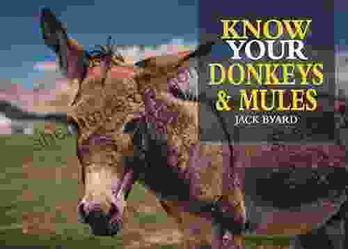 Know Your Donkeys Mules Jack Byard