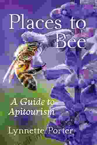 Places To Bee: A Guide To Apitourism