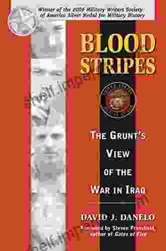 Blood Stripes: The Grunt S View Of The War In Iraq