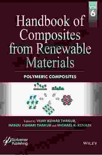 Handbook Of Composites From Renewable Materials Functionalization (Handbook Of Composites From Renewable Materials Volume 4)