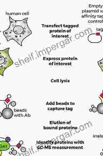 Protein Protein And Domain Domain Interactions Phil Hammond