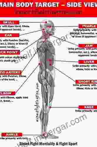 When The Body Is The Target: Self Harm Pain And Traumatic Attachments (Self Harm Pain And Traumatic Attachments)